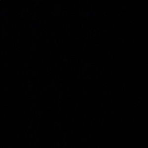 Meet your Posher, Betsy